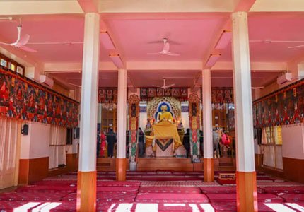 Pathankot to Bir Billing, Palampur & Dharamshala Escape