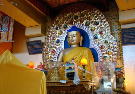 Pathankot to Dharamshala & McLeodganj Soul Journey