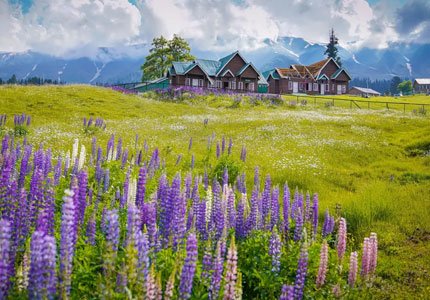 7-Day Complete Kashmir Holiday