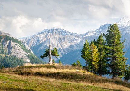 Dharamshala – Dalhousie Hill Station Tour Package
