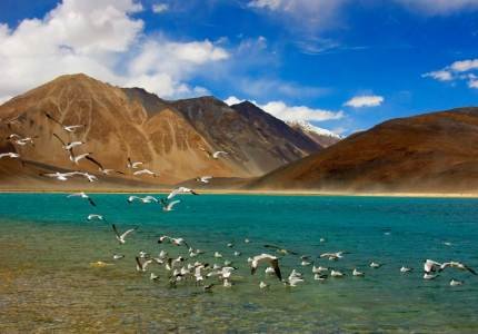 Leh Ladakh Road Trip from Chandigarh – Himalayan Drive