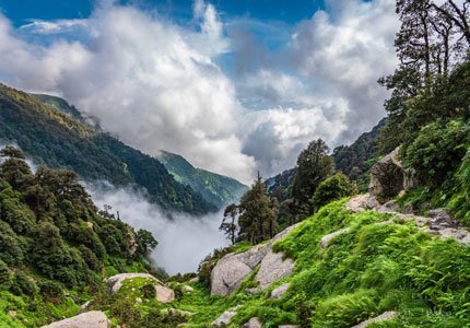 Dharamshala & McLeodganj Tour by Taxi