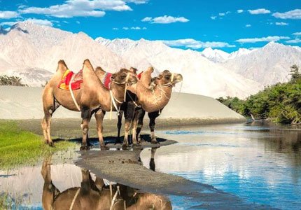 Amritsar Start Leh Ladakh Explorer Trip