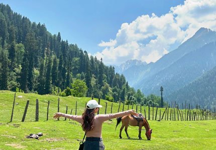 Amritsar to Kashmir Complete Tour (Srinagar, Gulmarg, Pahalgam, Sonmarg)