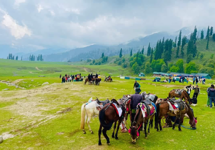 Amritsar to Srinagar Nature & Valley Explorer