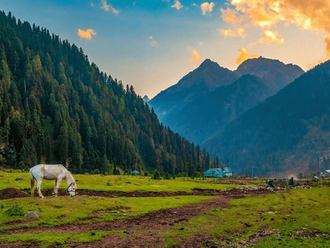 Amritsar to Srinagar Nature & Valley Explorer