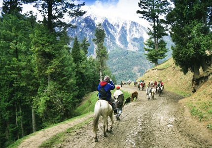 7-Day Complete Kashmir Holiday