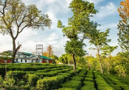 Pathankot to Bir Billing, Palampur & Dharamshala Escape
