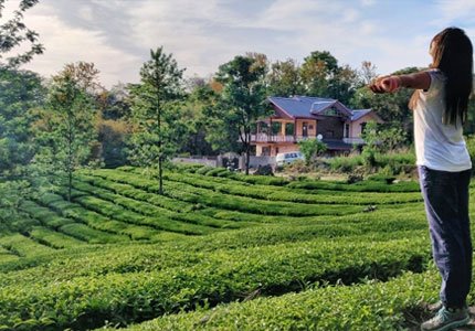 Pathankot to Bir Billing, Palampur & Dharamshala Escape