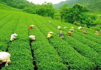 Dharamshala Sightseeing Tour