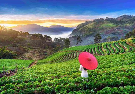 Dharamshala Sightseeing Tour