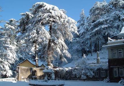 Chandigarh to Dalhousie, Dharamshala, Manali & Shimla Experience