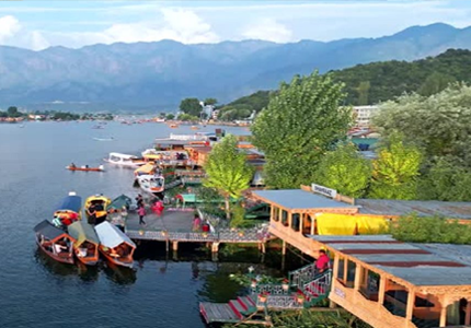 Kashmir
