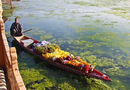 Amritsar to Kashmir Complete Tour (Srinagar, Gulmarg, Pahalgam, Sonmarg)