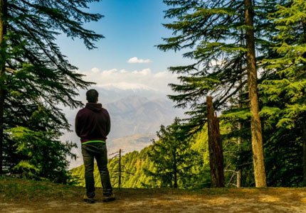 Pathankot to Dalhousie, Dharamshala, Manali & Shimla Tour