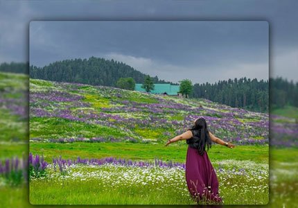 Amritsar to Kashmir Complete Tour (Srinagar, Gulmarg, Pahalgam, Sonmarg)