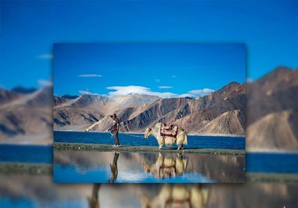 Leh Ladakh Road Trip from Chandigarh – Himalayan Drive