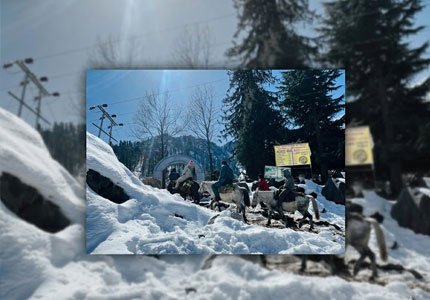 Chandigarh to Manali Nature Escape