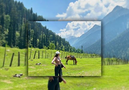 Chandigarh to Kashmir 9-Day Tour (Gulmarg, Sonmarg, Pahalgam)